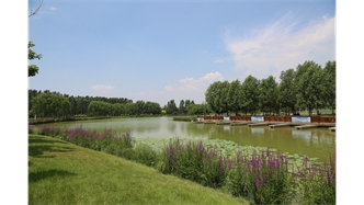 標題：包頭市民公園
瀏覽次數：2038
發表時間：2020-10-16