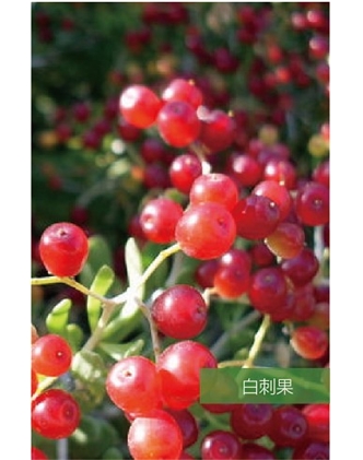 標題：名貴樹種
瀏覽次數：1821
發表時間：2020-10-17